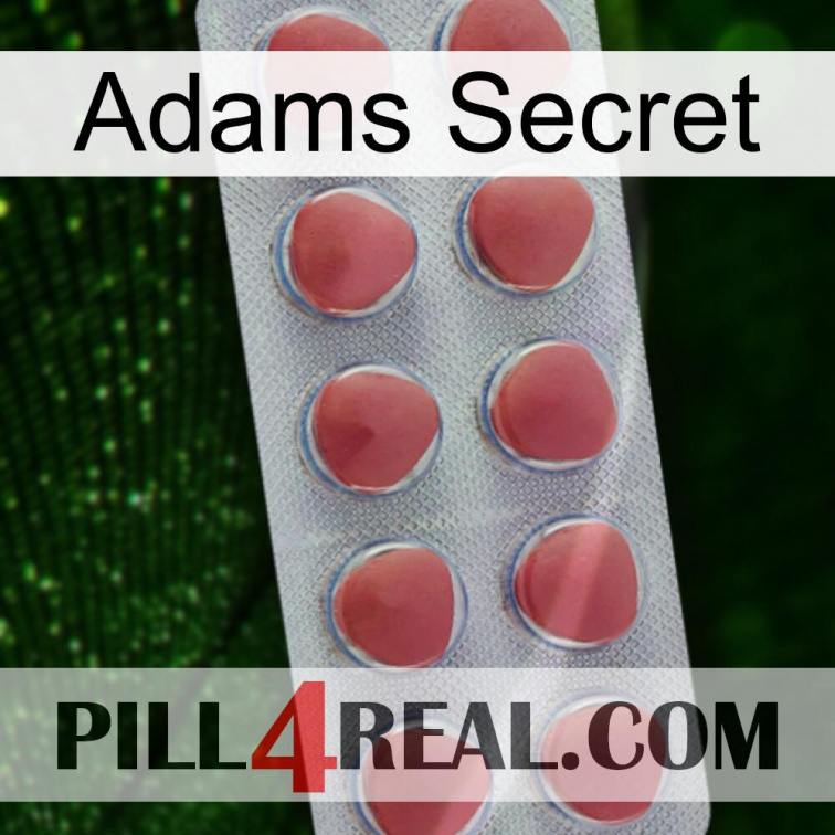 Adams Secret 18